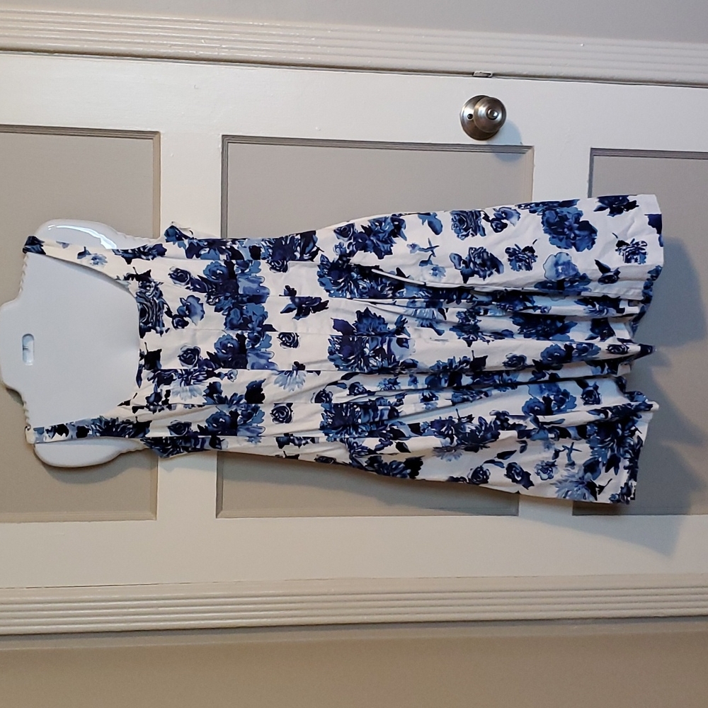 Blue & White floral dress